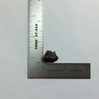 MeldedMind Star Diopside Specimen Natural Black Crystal 170809