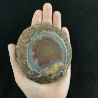 MeldedMind Agate Carnelian Sliced Slab 4.33in One Side Polished Gemstone 180818