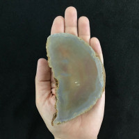 MeldedMind Agate Carnelian Sliced Slab 4.71in One Side Polished Gemstone 180814