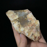 MeldedMind One Side Polished Dendritic Chalcedony Specimen 4.05in Brown 170845