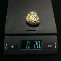 Dalmatian Jasper Puffed Heart 180520 44mm Stone of Protection Metaphysical 