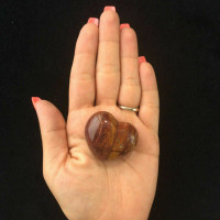 Red River Jasper Puffed Heart 180517 44mm Stone of Connection Metaphysical 