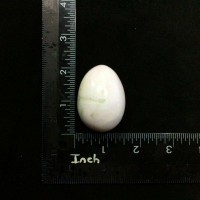 Pink Mangano Calcite Egg 180102 48.2mm Stone of Forgiveness Metaphysical