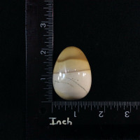 Mookaite Mookite Jasper Egg 170306 48mm 2.5oz Stone Emotional Calm