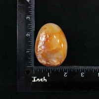 Carnelian Mini Massage 170503 XL Jumbo Palm Stone Stone of Power Metaphysical 