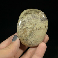 MeldedMind Silver Lace Jasper Palm Stone 2.24in Natural Brown Crystal 171021