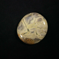 MeldedMind Silver Lace Jasper Palm Stone 2.32in Natural Brown Crystal 171017
