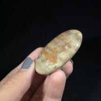 MeldedMind Silver Lace Jasper Palm Stone 1.85in Natural Brown Crystal 171019