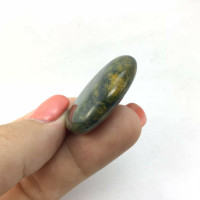 Australian Rainforest Rhyolite Jasper Palm Smooth Stone 180601 34mm Mineral