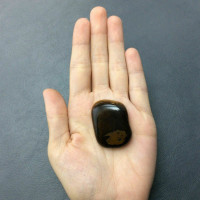 Golden Tigers Eye Palm Stone 170826 Metaphysical Healing Crystal