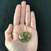 Australian Rainforest Rhyolite Jasper Palm Smooth Stone 181015-33mm Mineral