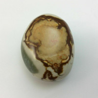 Polychrome Jasper Mini Massage Therapy Stone 170916 Power Stone Metaphysical