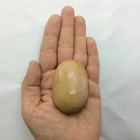 Polychrome Jasper Mini Massage Therapy Stone 170918 Power Stone Metaphysical