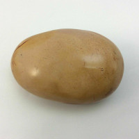 Polychrome Jasper Mini Massage Therapy Stone 170918 Power Stone Metaphysical