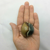 Polychrome Jasper Mini Massage Therapy Stone 170917 Power Stone Metaphysical