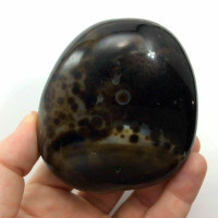 Black Agate Massage Therapy Stone 9oz 160707 Protection Strength Metaphysical