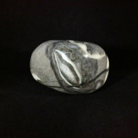 Shell Jasper Massage Therapy Stone 9oz 170702 Stone of Serenity Metaphysical 