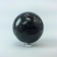 Natural Black Orthoceras Sphere 170402 61mm Orthoceratites Cephalopod Fossil