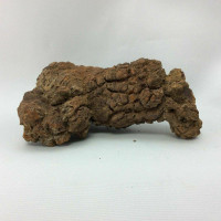 Coprolite Specimen 170805 Petrified Turtle Poop Stone Fossil Metaphysical 