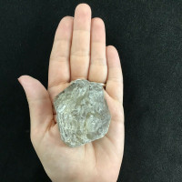 BiColored Elestial Smokey Quartz 66mm 153g 1901-341 Mineral Crystal