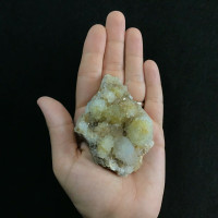 MeldedMind Spirit Quartz 3.39in Natural Crystal Cactus Porcupine 1903-071