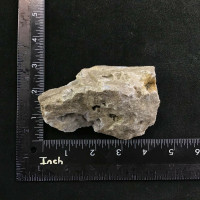 Druzy Quartz Specimen 13oz 1901-281 Mineral Specimen Crystal Natural