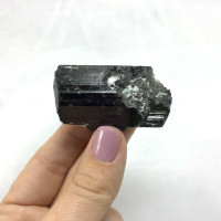 Black Tourmaline Specimen 93g 1901-38 Stone of the Healer Metaphysical