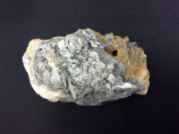 MeldedMind Dogtooth Calcite on Clam Shell Ruck’s Pit, FL Natural Honey Crystal 1