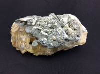 MeldedMind Dogtooth Calcite on Clam Shell Ruck’s Pit, FL Natural Honey Crystal 1