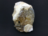 MeldedMind Dogtooth Calcite on Clam Shell Ruck’s Pit, FL Natural Honey Crystal 1