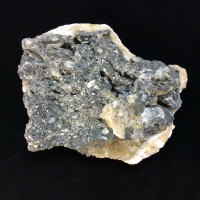 MeldedMind Dogtooth Calcite on Clam Shell Ruck’s Pit, FL Natural Honey Crystal 2