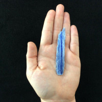 Natural Rough Raw Blue Kyanite Blade Specimen 161232 Stone of Connections