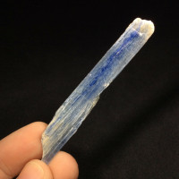 Natural Rough Raw Blue Kyanite Blade Specimen 171171 Stone of Connections
