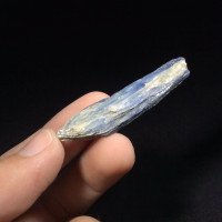 Natural Rough Raw Blue Kyanite Blade Specimen 171173 Stone of Connections