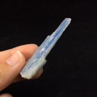 Natural Rough Raw Blue Kyanite Blade Specimen 170762 Stone of Connections