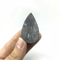 Orthoceras Cabochon 181001-46mm Morocco Orthoceratites Cephalopod