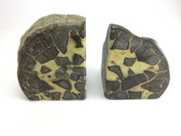 Septarian Nodule Bookends Geode Display Natural Home Decor