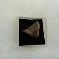 Meteorite Fragment Specimen 170523 In Collectors Box Gift of Universal Energy 