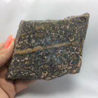 MeldedMind One-Side Polished Leopard Skin Jasper Slab Spotted Crystal 180401