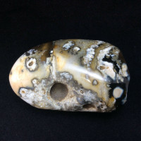 Agatized Fossil Coral 170775 99g Metaphysical Emotional Balance Healing Strength