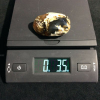 Agatized Fossil Coral 170775 99g Metaphysical Emotional Balance Healing Strength