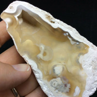 Agatized Fossil Coral 170768 93g Metaphysical Emotional Balance Healing Strength