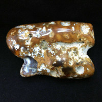 Agatized Fossil Coral 170770 119g Metaphysical Emotional Balance Healing 