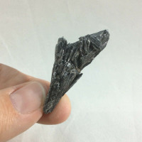 Black Kyanite Blade Specimen 180202 45mm Stone of Protection Metaphysical 