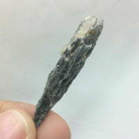 Black Kyanite Blade Specimen 180214 49mm Stone of Protection Metaphysical 