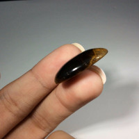 Golden Tiger's Eye Stone Cabochons Pair 171006 Oval 25mm Each Luster Sheen