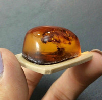 Baltic Amber Specimen Cabochon Natural Healing Stone Protection  