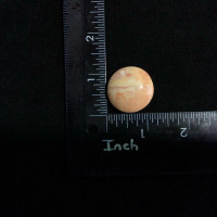 Round Agatized Fossil Coral Cabochon 170806 Red Yellow Gemstone Jewelry  