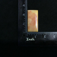 Rectangular Agatized Fossil Coral Cabochon 170807 Red Yellow Gemstone Jewelry 