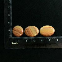 Set of Three (3) Picture Jasper Cabochons 170904 Oval Round Jewelry